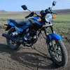 racer_tiger150