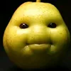gruchokot