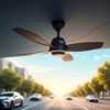fan.traders