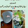 adilali331000