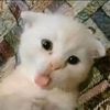 rixky_0