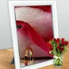 hassanahmadabofallh