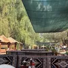 tny_68