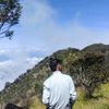 arip_walker