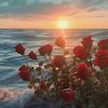 omnia_elbasyouni