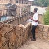 cashmansa