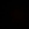cerilops_
