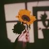 syntdp_