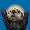 otter7z