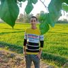 mohamedshaaban210