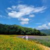 leejungsook61