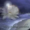 ☆