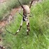 fencingislife005
