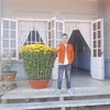 saihalalala