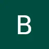 bagx1