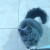 amelia19951