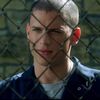 scofield.heart