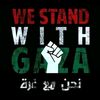 hisham20242