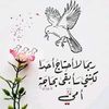 haiamfarouk211