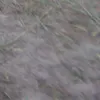 finnjk_