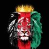 kingbarakzay