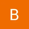 bismazulfiqar920