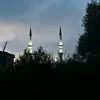 ervinhalavac