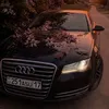 mir.alam0022