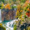 nisa23_82