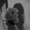 user255766003