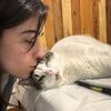 medusalovecats