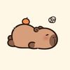 damaris.cf_11