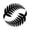 New Zealand Football