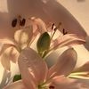 01prettyuser