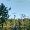 xfhrarwr