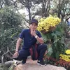 user334353518