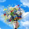 natura_vls