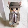 kittenheimer