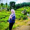 straw0680