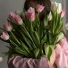 hendabdelhamed06