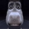 hiddendonkey