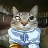 stephano_hilares