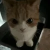 ksimiumu