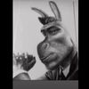 b.i.g_skipper