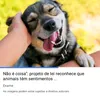 ...amoosanimais1