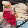 lara_467800