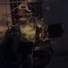 rooxi_16