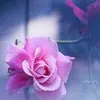 lenaaaaaaaaaj