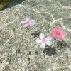 eru_64