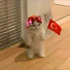 me_ylmz90